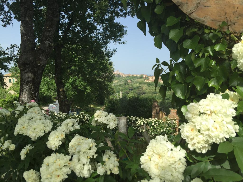 Podere Sant'Elena San Gimignano Buitenkant foto