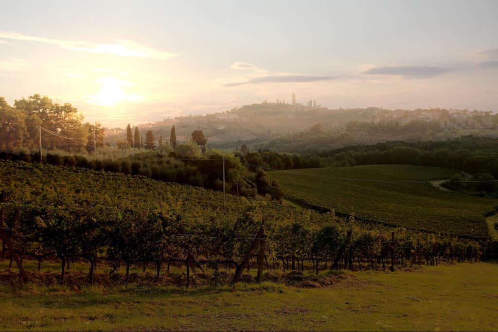 Podere Sant'Elena San Gimignano Buitenkant foto