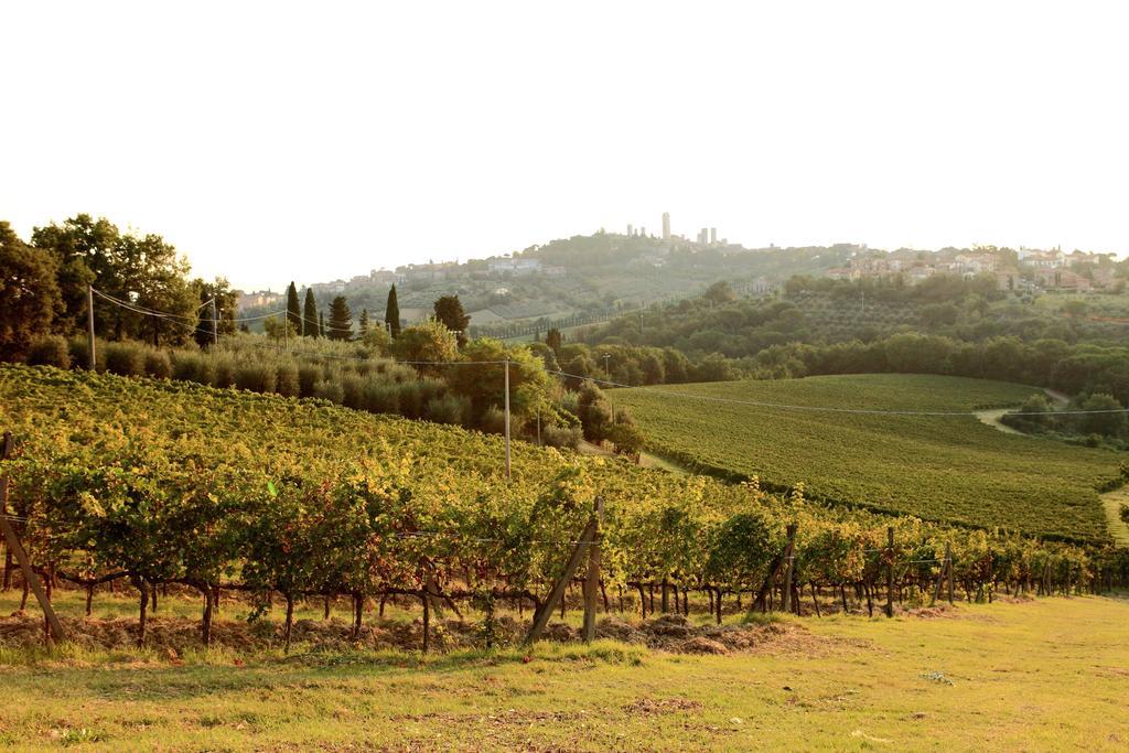 Podere Sant'Elena San Gimignano Buitenkant foto